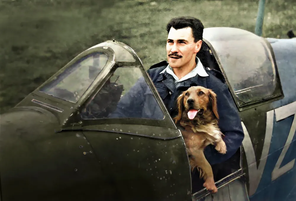 Nixon sat in a 412 Squadron Spitfire at Biggin Hill Airfield